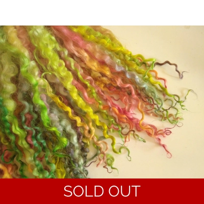 Bright Rainbow wenselydale curly wool lock 28g 14g 7g
